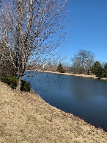 3025 Case Ct, Aurora, IL 60503 photo 48