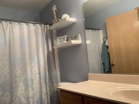 1409 Denver Dr, Minooka, IL 60447 photo 14