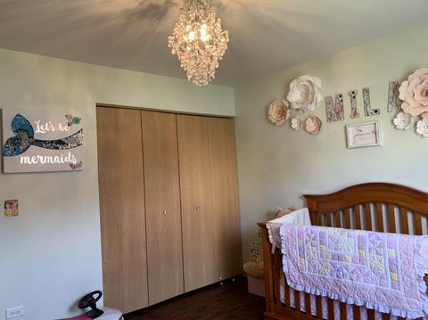 1409 Denver Dr, Minooka, IL 60447 photo 15