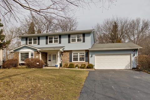 820 Freeman Rd, Hoffman Estates, IL 60192 photo 1