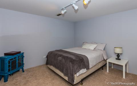 1911 Spring Ridge Dr, Plainfield, IL 60586 photo 29