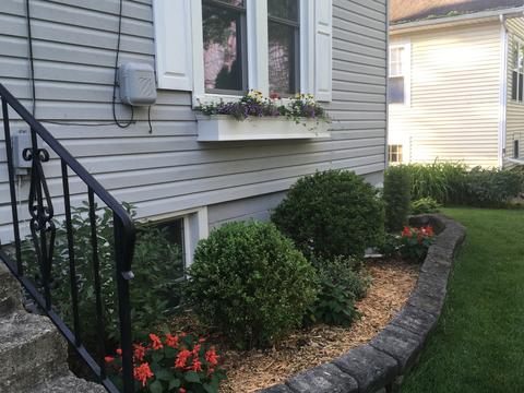 421 Lyon Ave, Wheaton, IL 60187 photo 44