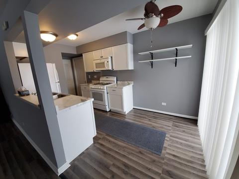 192 Rita Ct #C, Bartlett, IL 60103 photo 5