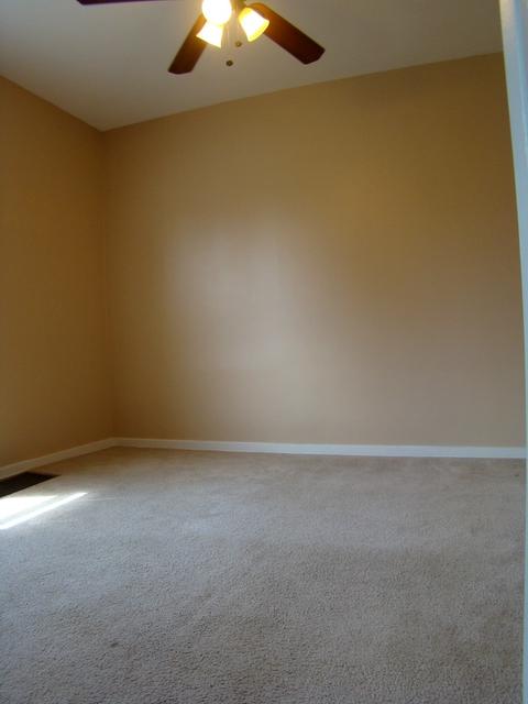 217 Seneca St, Elgin, IL 60120 photo 20