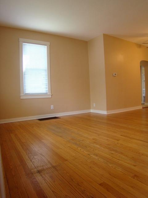 217 Seneca St, Elgin, IL 60120 photo 7