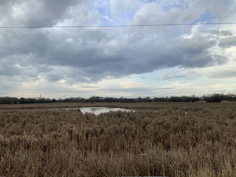 990 Longford Rd, Bartlett, IL 60103 photo 23
