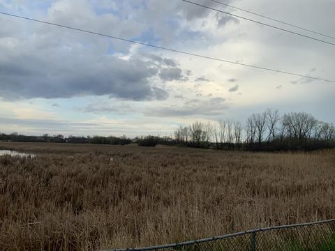 990 Longford Rd, Bartlett, IL 60103 photo 24
