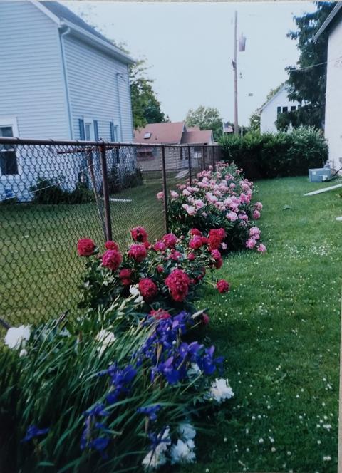 803 E Garden St, Freeport, IL 61032 photo 37