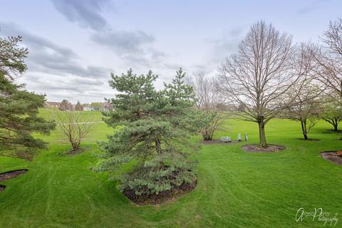 1008 Interloch Ct, Algonquin, IL 60102 photo 22