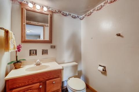 153 Ambleside Rd, Des Plaines, IL 60016 photo 22