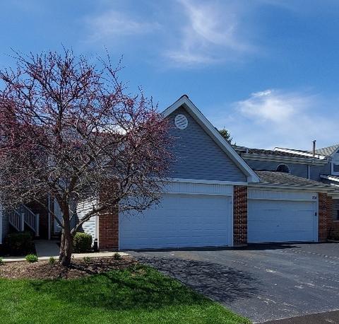 272 Eclipse Dr, Carol Stream, IL 60188 photo 2