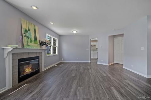 272 Eclipse Dr, Carol Stream, IL 60188 photo 6