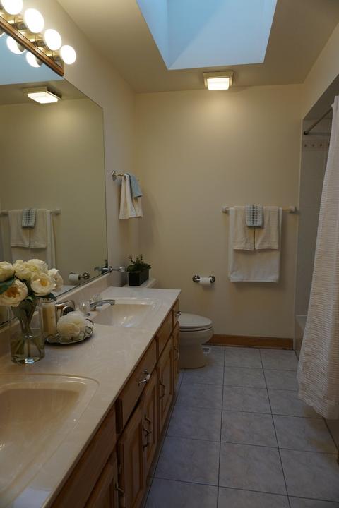 910 Carlow Dr, Des Plaines, IL 60016 photo 18