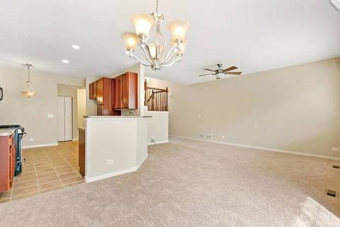 45 Kelsey Ct, Algonquin, IL 60102 photo 5
