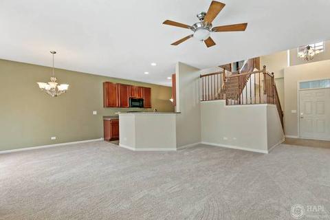 45 Kelsey Ct, Algonquin, IL 60102 photo 4