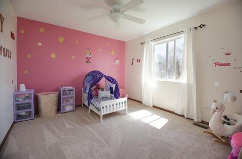 1075 Crown Ct, Diamond, IL 60416 photo 15