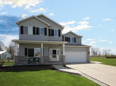 1075 Crown Ct, Diamond, IL 60416 photo 1