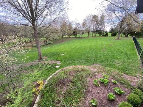 6 Paddock Ave, Lemont, IL 60439 photo 26