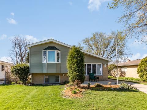 919 E Crockett Ave, Addison, IL 60101 photo 2