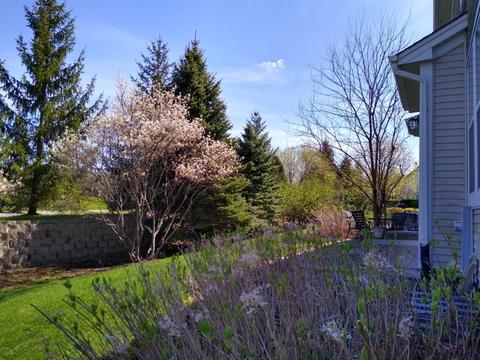 2948 Talaga Dr, Algonquin, IL 60102 photo 23