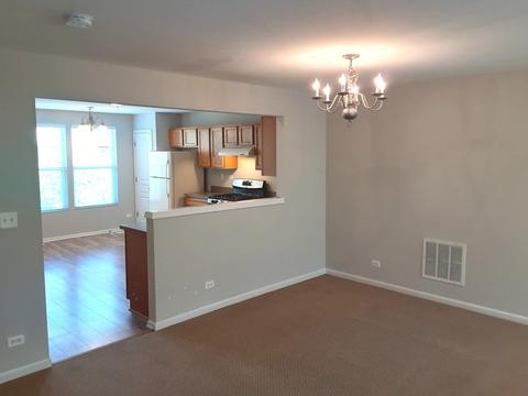 526 Conservatory Ln, Aurora, IL 60502 photo 5