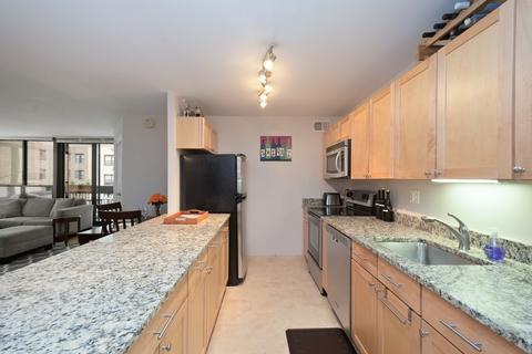 222 E Pearson St #509, Chicago, IL 60611 photo 3