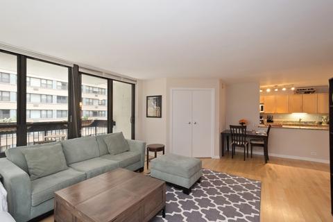 222 E Pearson St #509, Chicago, IL 60611 photo 7