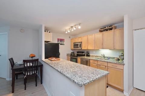 222 E Pearson St #509, Chicago, IL 60611 photo 4