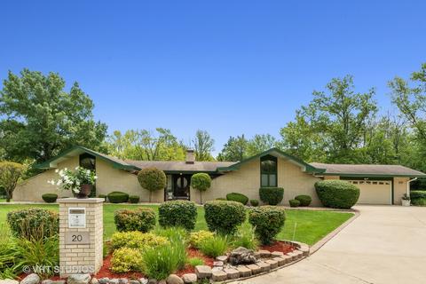20 Graymoor Ln, Olympia Fields, IL 60461 photo 1