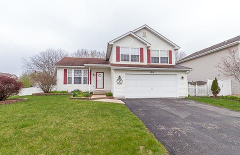 4214 Ashcott Ln, Plainfield, IL 60586 photo 1