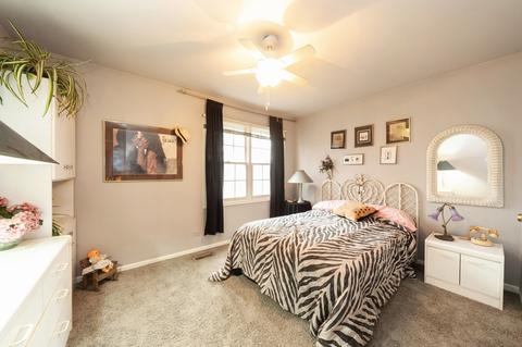 1511 Broadway Ct, Wheeling, IL 60090 photo 10