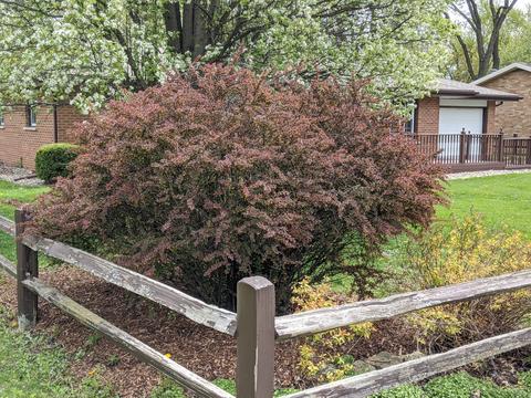 644 Juniper Ln, Bradley, IL 60915 photo 6