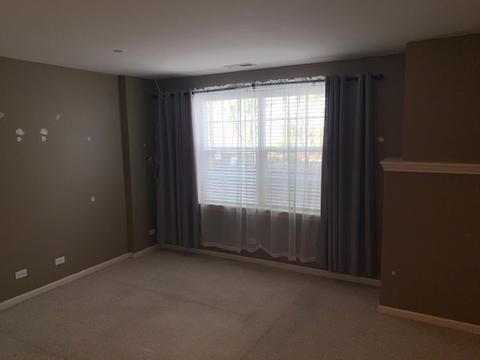 262 Broadmoor Ln, Bartlett, IL 60103 photo 21