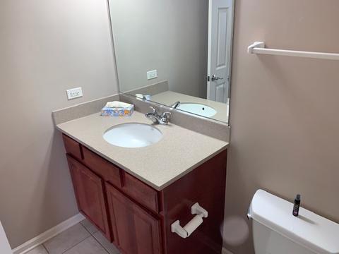 262 Broadmoor Ln, Bartlett, IL 60103 photo 17