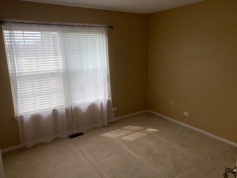 262 Broadmoor Ln, Bartlett, IL 60103 photo 18