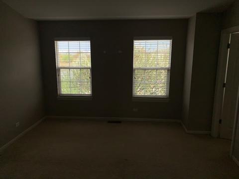 262 Broadmoor Ln, Bartlett, IL 60103 photo 14