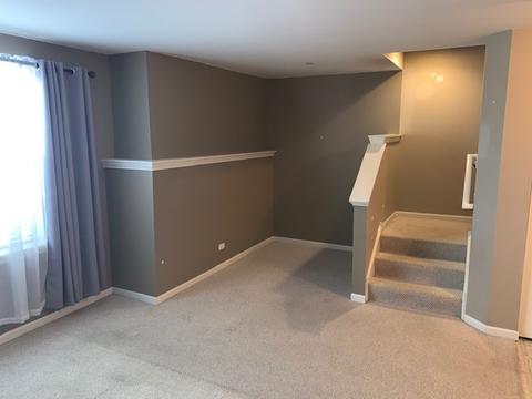 262 Broadmoor Ln, Bartlett, IL 60103 photo 20