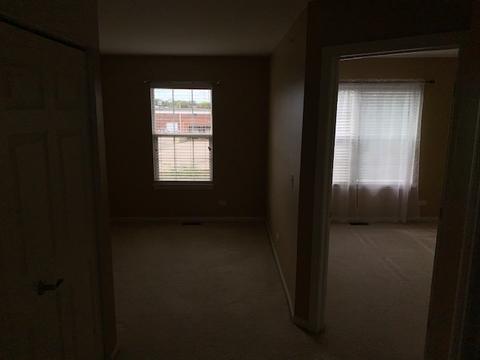262 Broadmoor Ln, Bartlett, IL 60103 photo 15