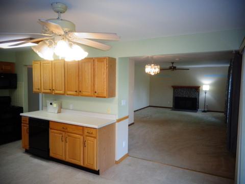 4 Crestview Ct, Le Roy, IL 61752 photo 11