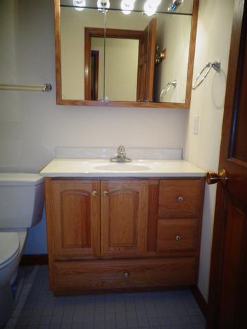 4 Crestview Ct, Le Roy, IL 61752 photo 20