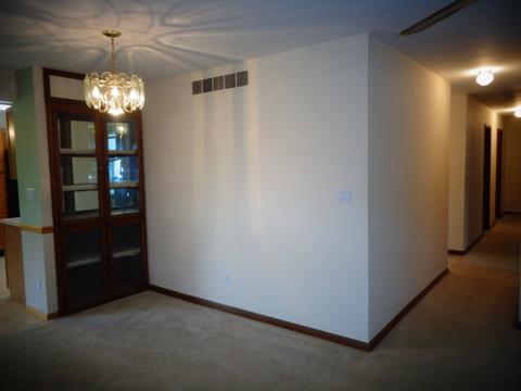 4 Crestview Ct, Le Roy, IL 61752 photo 26