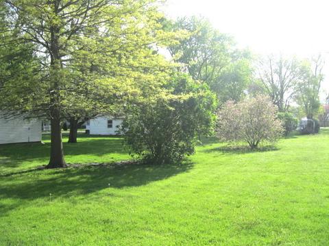 401 E Morris St, Bement, IL 61813 photo 7