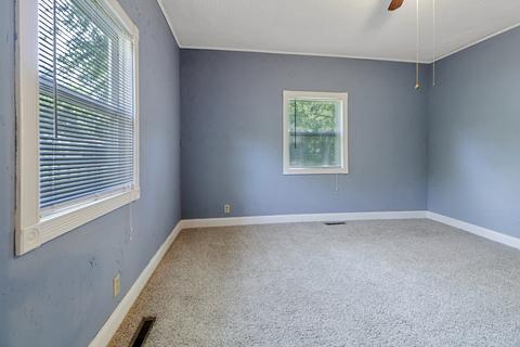 401 E Morris St, Bement, IL 61813 photo 19