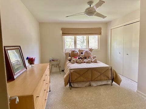 790 E Gartner Rd, Naperville, IL 60540 photo 24