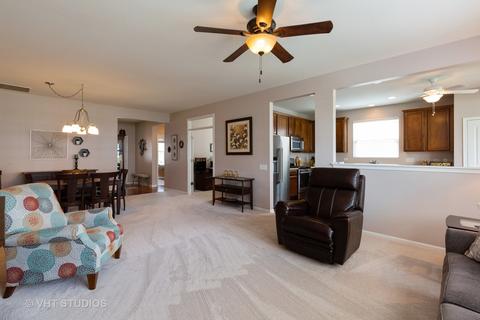 856 Butterfly Field Dr, Elgin, IL 60124 photo 10