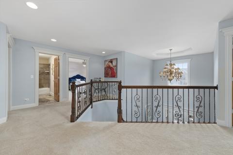 12705 Barrow Ln, Plainfield, IL 60585 photo 15