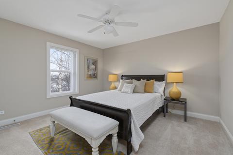 12705 Barrow Ln, Plainfield, IL 60585 photo 19