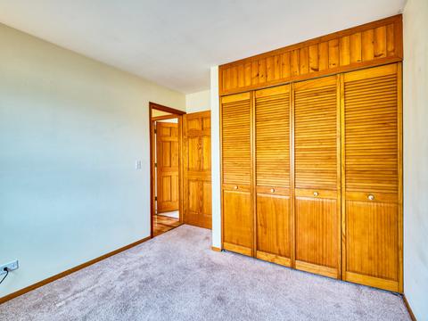 416 E Chippendale Dr, Bartlett, IL 60103 photo 11