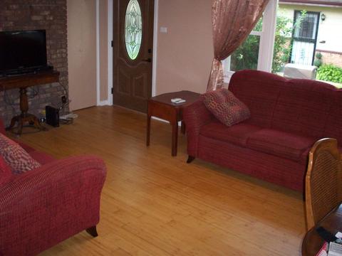 438 Tomahawk St, Park Forest, IL 60466 photo 21