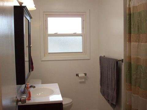 438 Tomahawk St, Park Forest, IL 60466 photo 28
